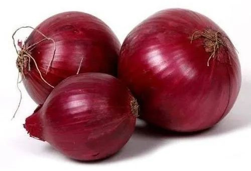 Fresh Red Onion 7-15days, Packaging Size : 5-25kg, Packaging Type : Plastic Bag