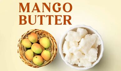 IVAS Mango Butter, Color : Creamy, Packaging Size : 1Kg