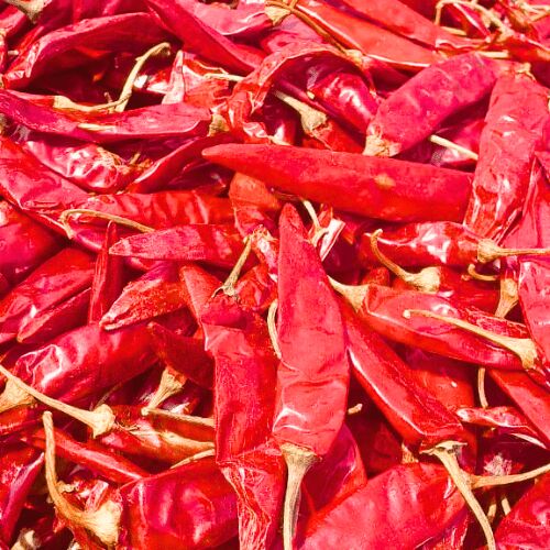 Natural dry red chilli, Grade Standard : Food Grade
