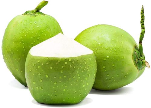 Common Fresh Coconut, Color : Green, Packaging Type : Loose, Coconut Size : Large