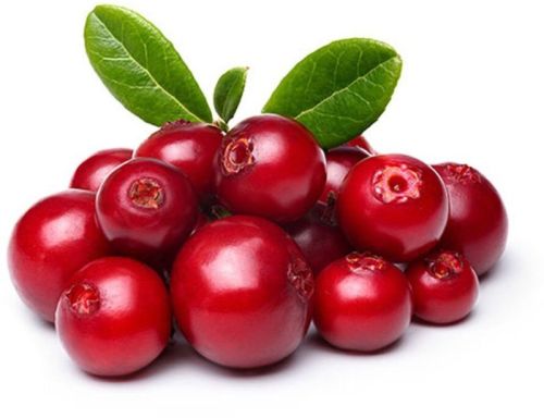 Common Fresh Lingonberries, Color : Red, Grade : A Grade, Packaging Type : Plastic Packet