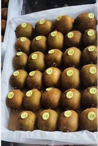 Organic Fresh Kiwi, Color : Brown, Packaging Type : Paper Box