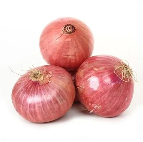 A Grade Fresh Pink Onion 10-15 Days, Packaging Size : 5-25 Kg, Packaging Type : Net Bag