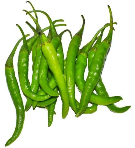 A Grade G4 Green Chilli 10-12 Days, Packaging Size : 5-10 Kg, Packaging Type : Plastic Bag