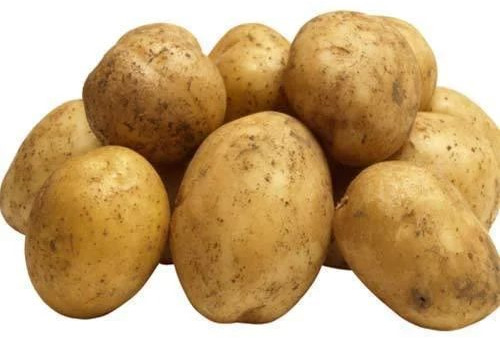Natural Fresh Pukhraj Potato 10-12 Days, Packaging Size : 5-25 Kg, Packaging Type : Gunny Bag