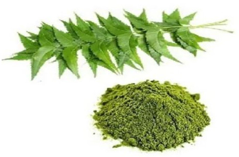 Neem Leaf Powder, Color : Green For Cosmetic, Medicine