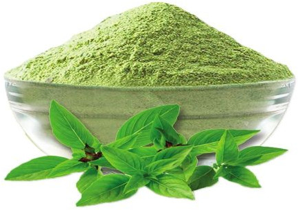 Organic Tulsi Powder, Color : Green For Aids Digestion, Reduces Stress, Improves Skin, Supports Overall Health.
