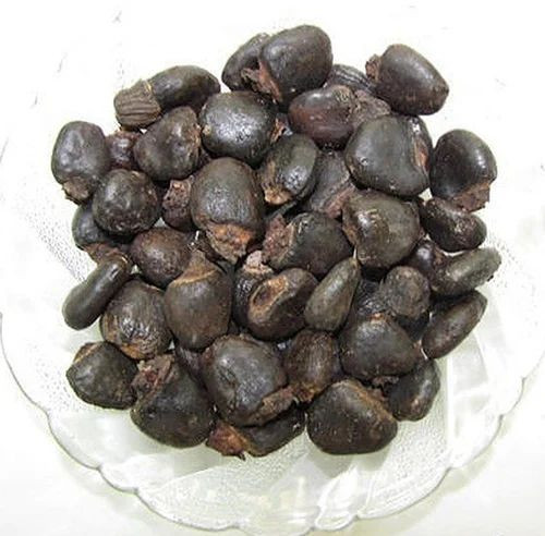 Black Bhilawa Seeds 10-15%, Grade : Medicine Grade, Packaging Type : Plastic Bags