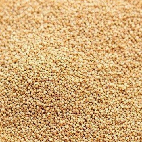 Crunchy Poppy Seeds, Color : Silver, Packaging Size : 5-25kg, Packaging Type : Plastic Bag