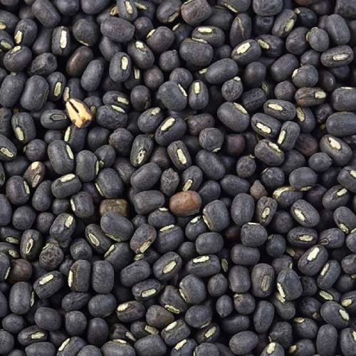 Whole Urad Dal, Color : Black, Grade Standard : Food Grade For Cooking