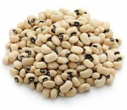 Natural Cow Peas 6 Month, Packaging Type : Plastic Packet For Human Consumption