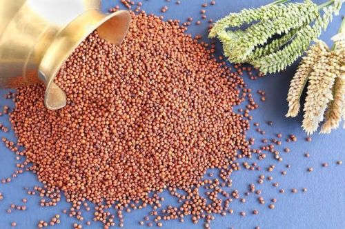 Organic Ragi Seeds, Packaging Type : Red for Cooking