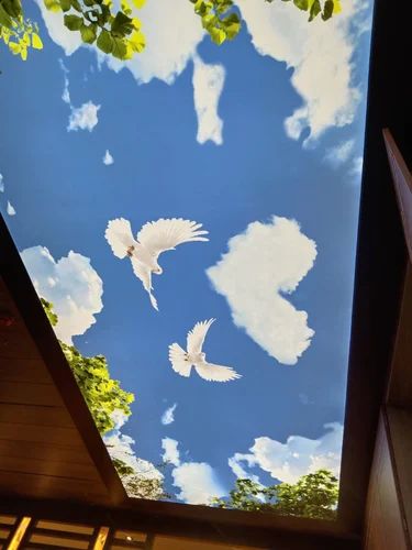 PVC Printed Roof Cloud Stretch Ceiling