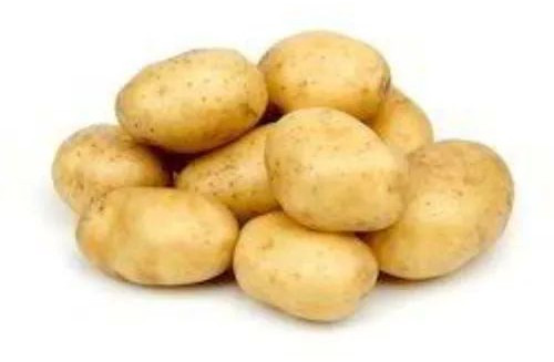 Natural Fresh Potato, Color : Brown, Packaging Size : 20 Kg, Packaging Type : Bag