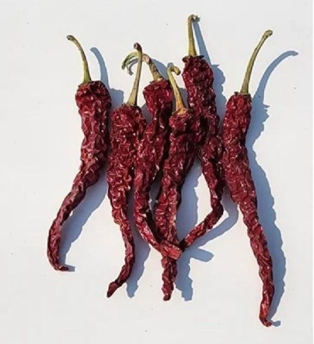 Raw Byadgi Dry Red Chilli, Grade Standard : Food Grade, Packaging Type : Plastic Bag, Packaging Size : 5-25kg