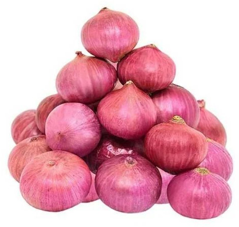 Fresh Red Onion 7-15days, Packaging Size : 5-25kg, Packaging Type : Mesh Bag