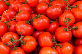 Fresh Red Tomato, Packaging Size : 5-25kg, Packaging Type : Plastic Bag