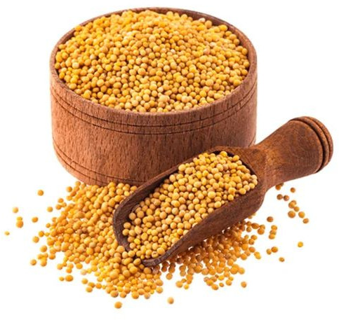 Yellow Mustard Seeds 8% 18 Months, Packaging Size : 5-25kg