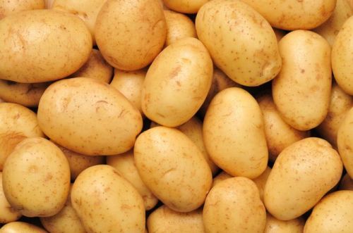 Natural Brown Chips Quality Potato, Packaging Size : 20 Kg, Packaging Type : Bag