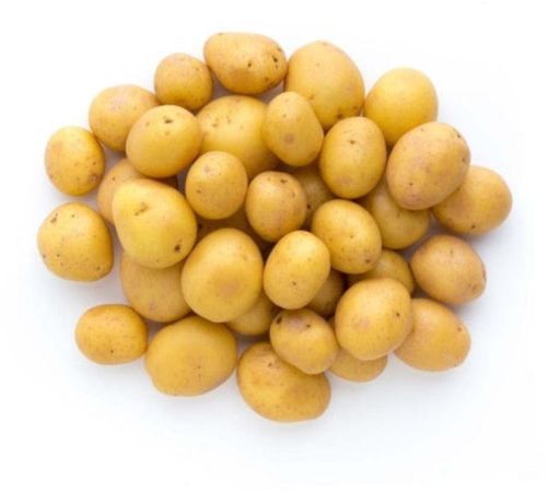 Natural Fresh Baby Potato, Color : Brown, Packaging Size : 20 Kg, Packaging Type : Bag