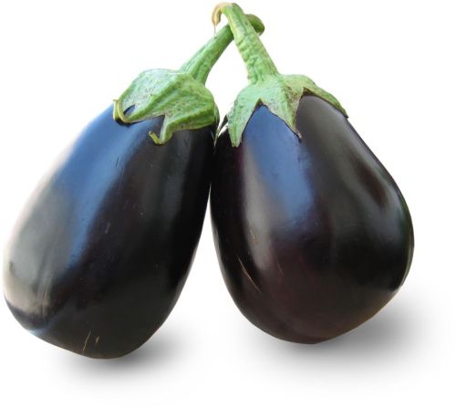 Natrual Fresh Brinjal, Color : Voilet, Packaging Size : 20Kg, Packaging Type : Bag