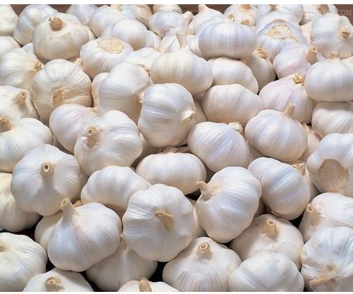 Natural Fresh Garlic, Color : White, Packaging Type : Bag, Packaging Size : 20 Kg