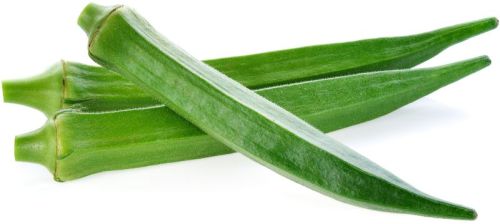 Natural Green Fresh Okra, Packaging Type : Bag, Packaging Size : 20 Kg