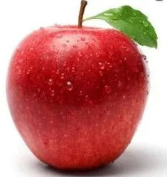 Organic Fresh Apple, Color : Red, Packaging Type : Bag, Packaging Size : 20kg