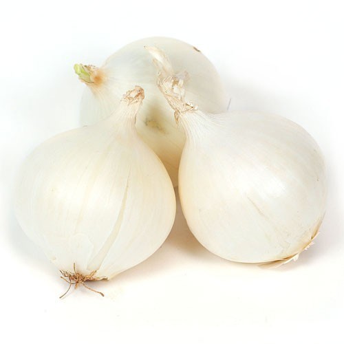 White Organic Fresh Onion, Shape : Round, Packaging Type : Bag, Storage Tips : Dry