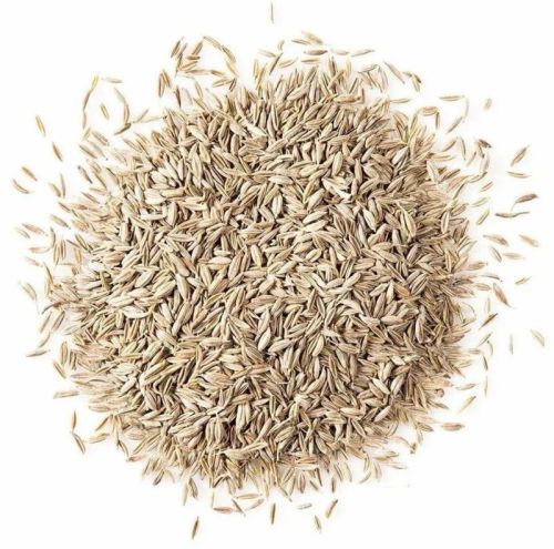 Raw White Cumin Seeds, Packaging Size : 5-10kg, Packaging Type : PP Bag For Cooking