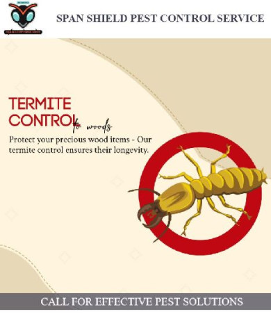 Ants Control Services