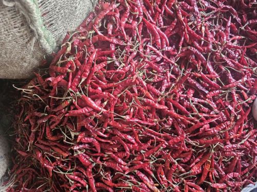 Organic Dry Red Chilli, Form : Solid for Spices, Cooking
