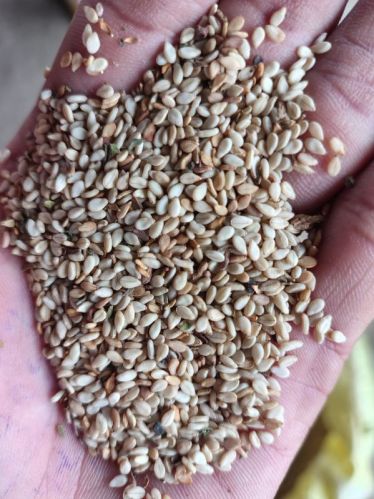 White sesame seeds for Cooking