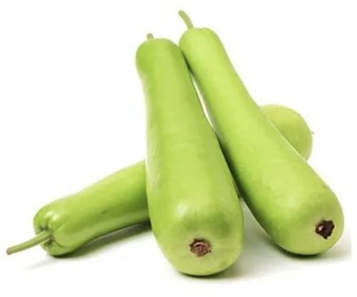 Bottle Gourd (lauki/dudhi), Color : Green, Packaging Size : 25 Kg