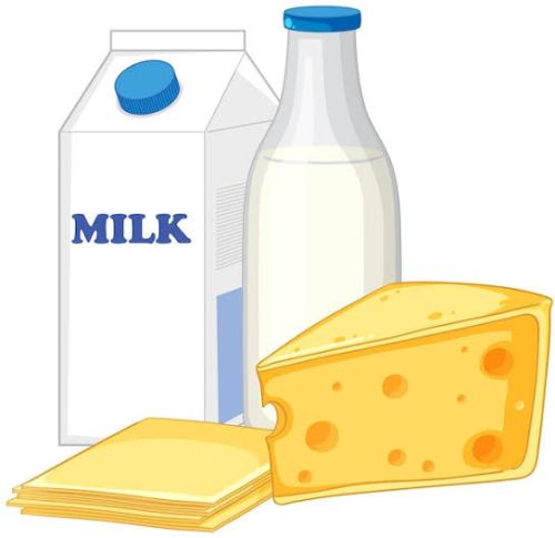 Dairy cream, Condition : Fresh, Packaging Type : Creamy