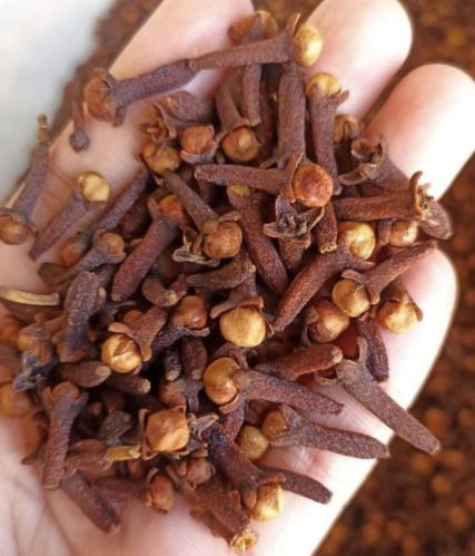 Organic clove, Grade Standard : Food Grade for Cooking, Spices