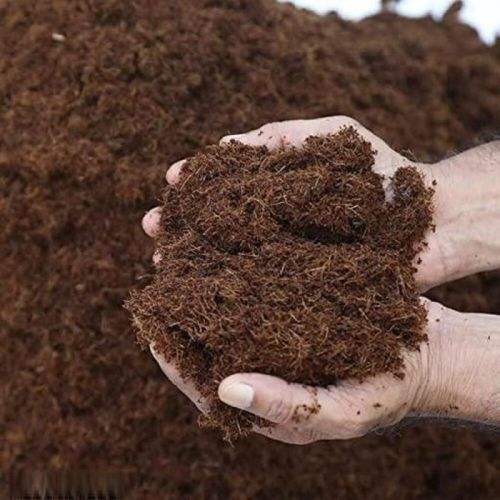 Agriculture Cocopeat Powder, Color : Brown, Packaging Type : Bag, Packaging Size : 25 Kg