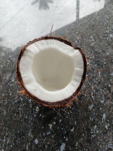 Natural Fully Husked Raw Coconut, Color : Brown, Weight : 450g/PC
