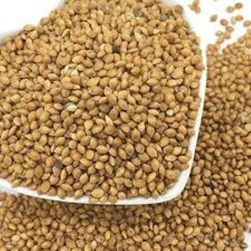 Organic Proso Millet Seeds, Variety : Hybrid, Packaging Type : Plastic Bag, Packaging Size : 5-25kg