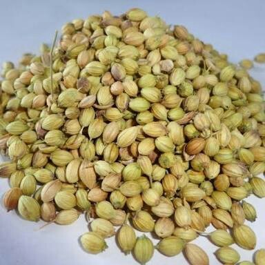 Natural Coriander Seeds, Color : Green, Grade Standard : Food Grade, Purity : 100 %