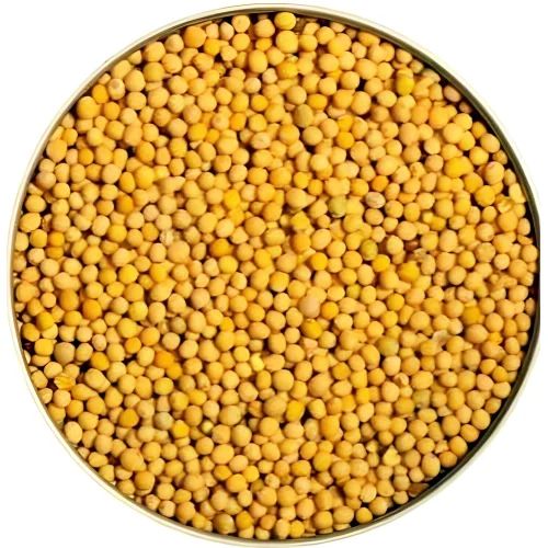 Natural Yellow Mustard Seeds For Spices