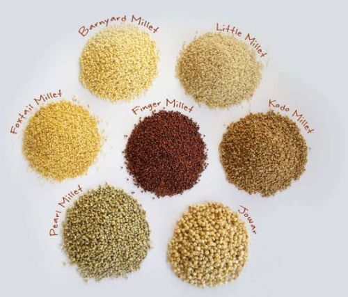 Natural chia seeds, Packaging Type : Brown