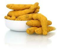 Natural Salem Dried Turmeric Finger for Cooking, Medicine