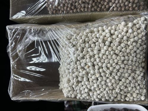 Organic chickpeas, Packaging Type : Brown, Form : Granules for Cooking