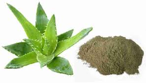 Organic Aloe Barbadensis Miller, Form : Powder, Certification : Fassi, Grade : Food Grade