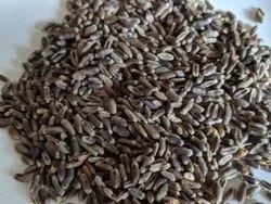 Organic Black Wheat Porridge, Certification : FSSAI, Packaging Type : Plastic Bag