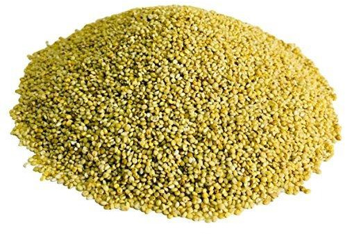 Organic Browntop Millet Dried