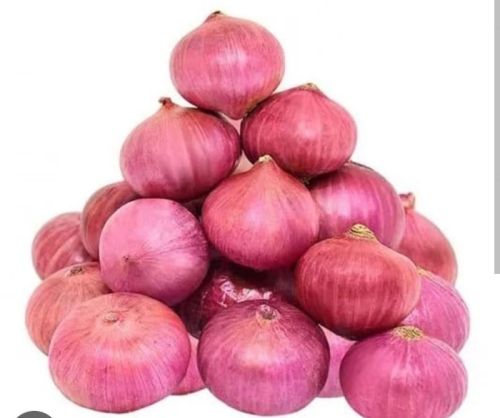 Onions, Form : Whole, Packaging Type : Red