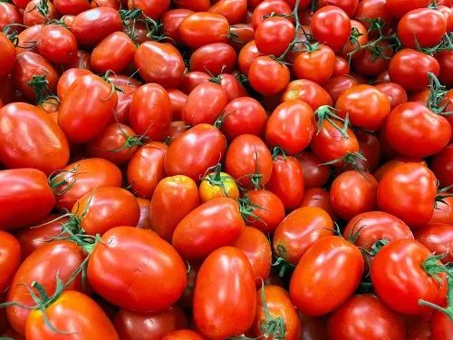 Fresh Red Tomato, Packaging Size : 5-25kg, Packaging Type : Plastic Bag