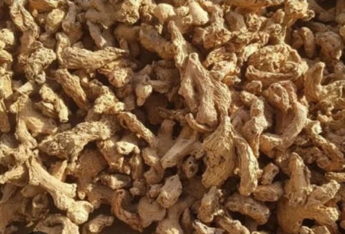 Common dry ginger for Spices, Cooking